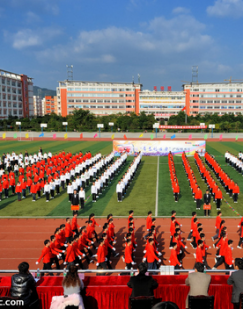 運(yùn)動(dòng)會(huì)合作案例